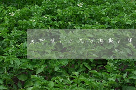 欠中信10几万逾期2年 欠中信10几万逾期2年