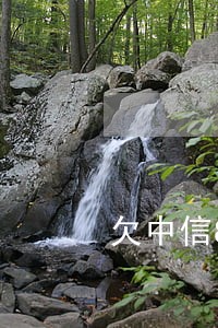 欠中信85000逾期一年 欠中信85000逾期一年