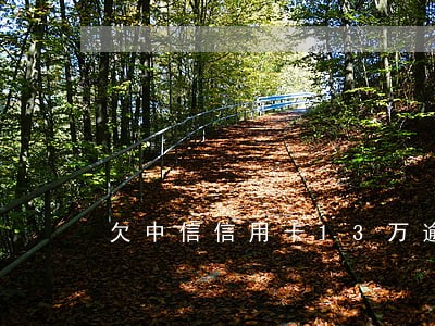 欠中信信用卡13万逾期75天
