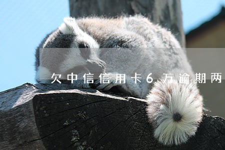欠中信信用卡6万逾期两年 欠中信信用卡6万逾期两年