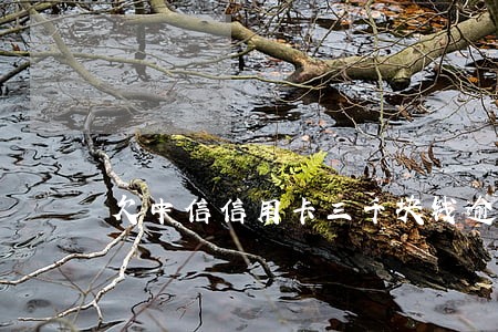 欠中信信用卡三千块钱逾期了几年