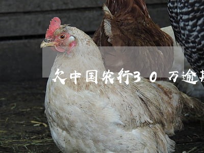 欠中国农行30万逾期两天