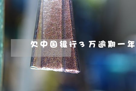 欠中国银行3万逾期一年 欠中国银行3万逾期一年