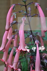 欠中邮17000逾期一年 欠中邮17000逾期一年