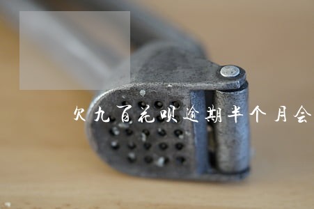欠九百花呗逾期半个月会怎么样 欠九百花呗逾期半个月会怎么样