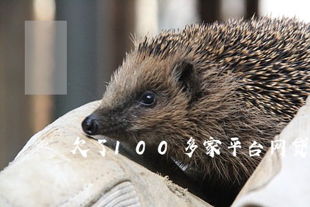 欠了100多家平台网贷全逾期 欠了100多家平台网贷全逾期