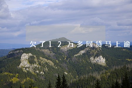 欠了12万多网贷马上逾期了