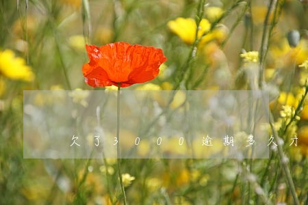 欠了3000逾期多久才会上门 欠了3000逾期多久才会上门