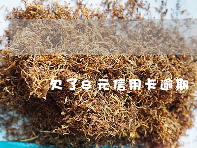 欠了8元信用卡逾期 欠了8元信用卡逾期