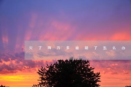 欠了两万多逾期了怎么办 欠了两万多逾期了怎么办