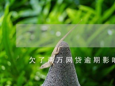欠了两万网贷逾期影响买房吗 欠了两万网贷逾期影响买房吗