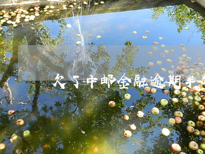 欠了中邮金融逾期半年