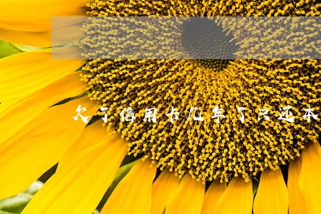 欠了信用卡几年了只还本金 欠了信用卡几年了只还本金