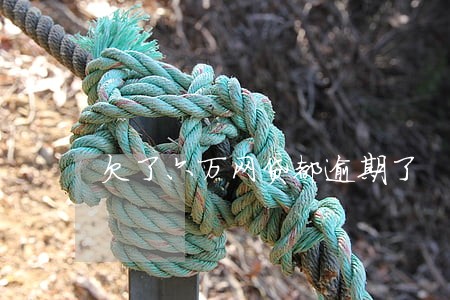 欠了六万网贷都逾期了 欠了六万网贷都逾期了