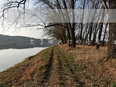 欠了四大行的信用卡逾期了怎么办 欠了四大行的信用卡逾期了怎么办