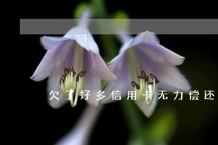 欠了好多信用卡无力偿还怎么办 欠了好多信用卡无力偿还怎么办