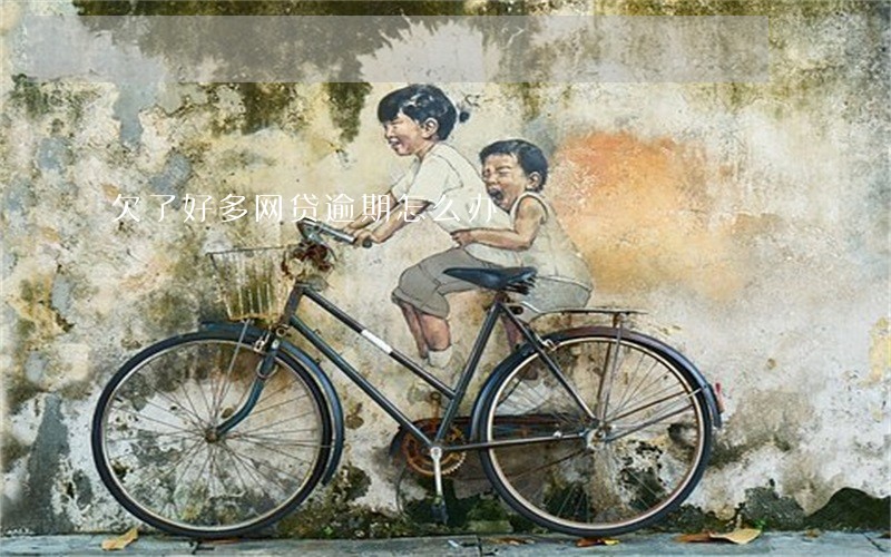 欠了好多网贷逾期怎么办 欠了好多网贷逾期怎么办