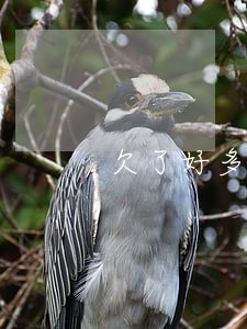 欠了好多钱该离婚吗 欠了好多钱该离婚吗