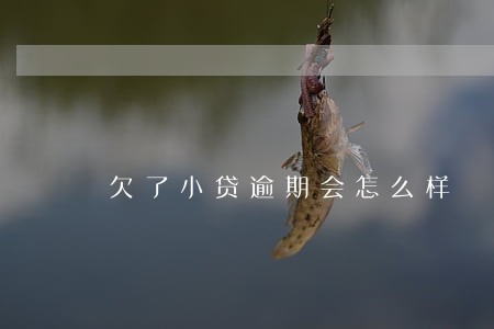 欠了小贷逾期会怎么样 欠了小贷逾期会怎么样