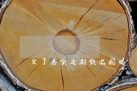欠了房贷逾期能出国吗 欠了房贷逾期能出国吗