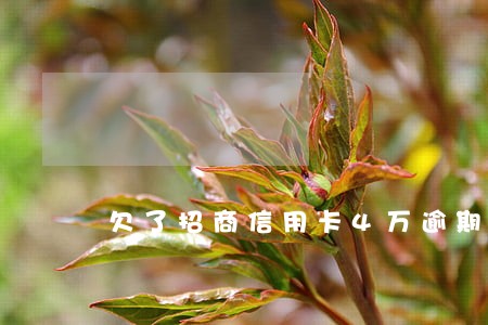欠了招商信用卡4万逾期会怎样 欠了招商信用卡4万逾期会怎样