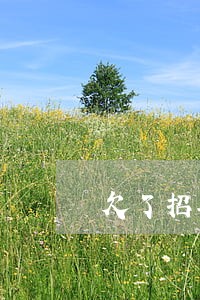 欠了招联的钱逾期了会怎么样 欠了招联的钱逾期了会怎么样