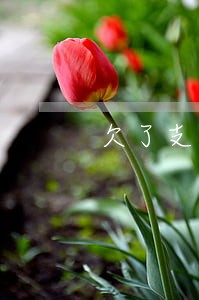 欠了支付宝网贷一万块钱逾期