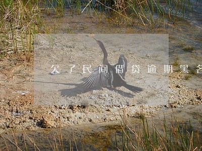 欠了民间借贷逾期黑名单 欠了民间借贷逾期黑名单
