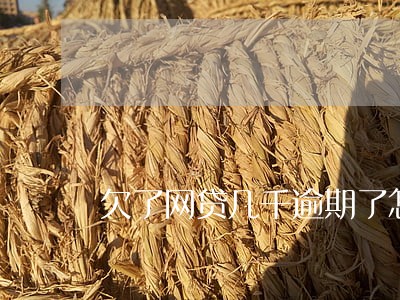欠了网贷几千逾期了怎么办 欠了网贷几千逾期了怎么办