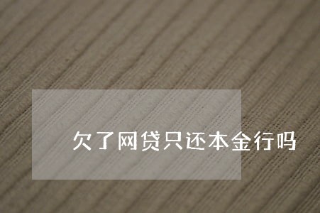 欠了网贷只还本金行吗