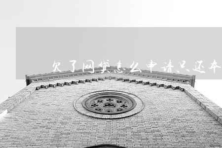 欠了网贷怎么申请只还本金 欠了网贷怎么申请只还本金