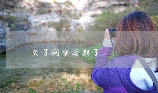 欠了网贷逾期了 欠了网贷逾期了