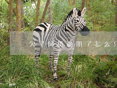 欠了网贷逾期了怎么只还本金 欠了网贷逾期了怎么只还本金
