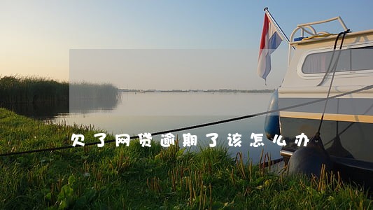 欠了网贷逾期了该怎么办 欠了网贷逾期了该怎么办