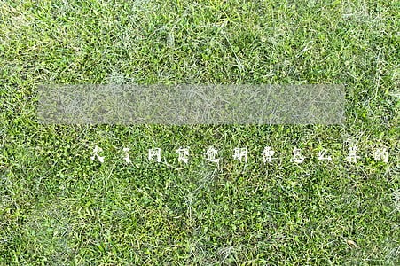 欠了网贷逾期费怎么算的 欠了网贷逾期费怎么算的