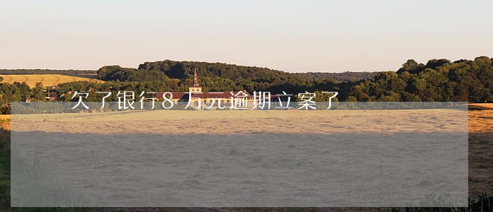 欠了银行8万元逾期立案了 欠了银行8万元逾期立案了