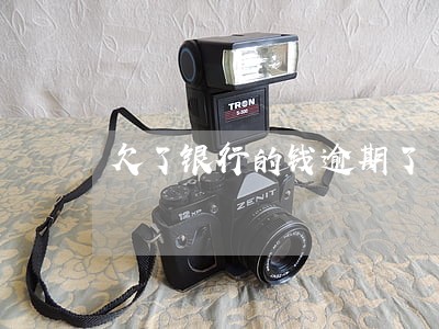 欠了银行的钱逾期了