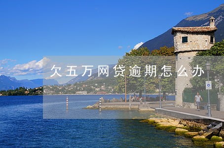 欠五万网贷逾期怎么办 欠五万网贷逾期怎么办