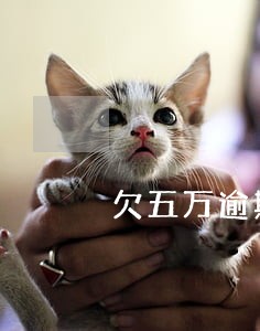 欠五万逾期利息多少 欠五万逾期利息多少