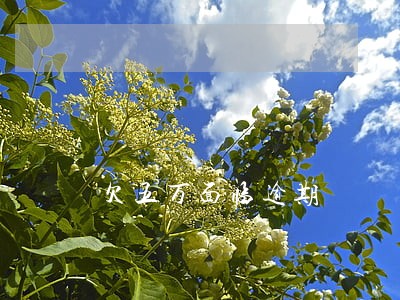 欠五万面临逾期 欠五万面临逾期