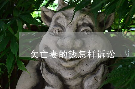 欠亡妻的钱怎样诉讼