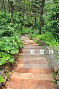 欠交行信用卡1w逾期上门了