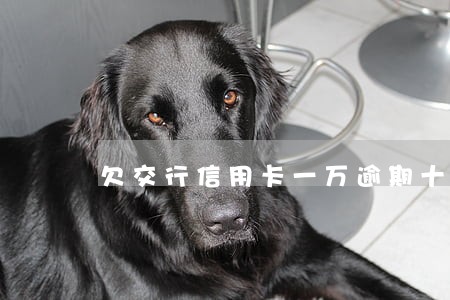 欠交行信用卡一万逾期十年