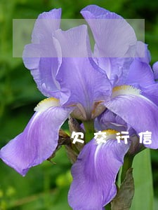 欠交行信用卡只还本金 欠交行信用卡只还本金
