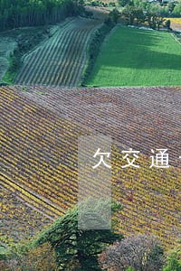 欠交通卡不到一万逾期 欠交通卡不到一万逾期