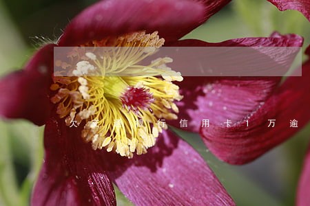 欠交通银行信用卡1万逾期6个月 欠交通银行信用卡1万逾期6个月