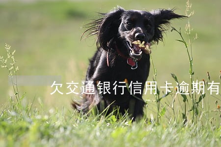 欠交通银行信用卡逾期有什么责任 欠交通银行信用卡逾期有什么责任