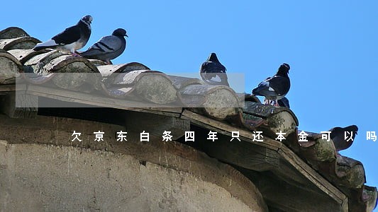 欠京东白条四年只还本金可以吗 欠京东白条四年只还本金可以吗