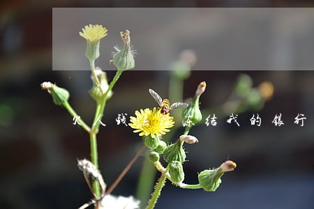 欠人钱法院冻结我的银行卡怎么办 欠人钱法院冻结我的银行卡怎么办