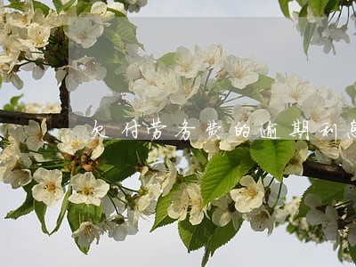 欠付劳务费的逾期利息标准 欠付劳务费的逾期利息标准